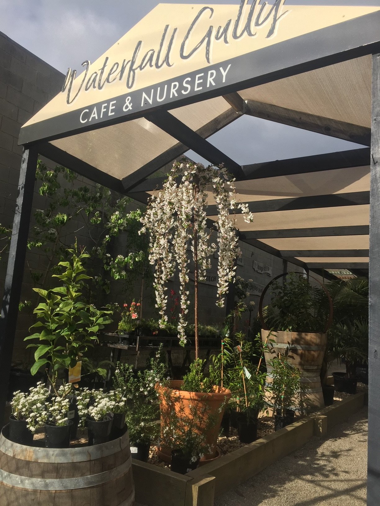 Cafe/Nursery - Rosebud South - Peninsula Business Sales