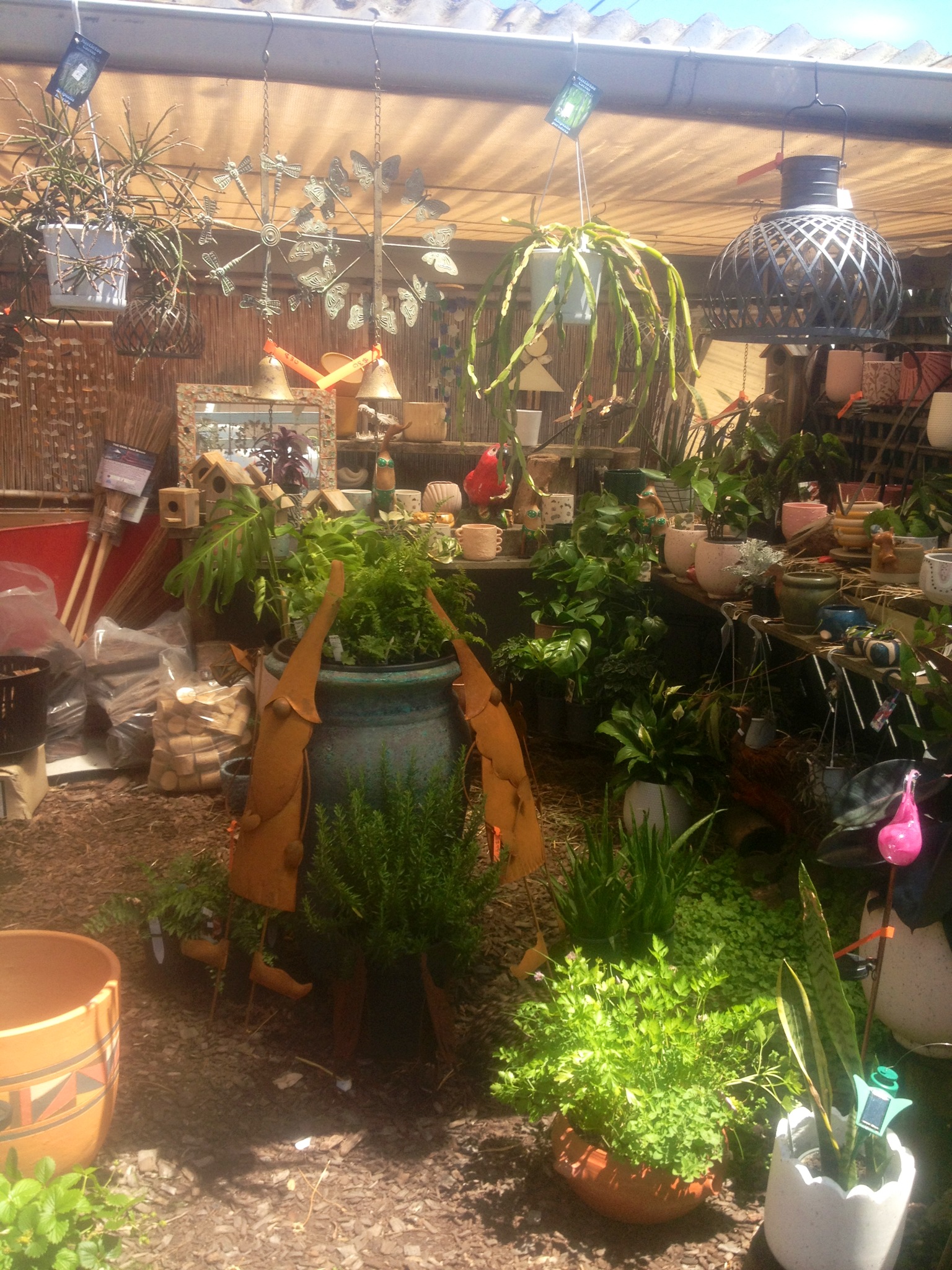 Rye Produce and Nursery Mornington Peninsula Peninsula Business Sales